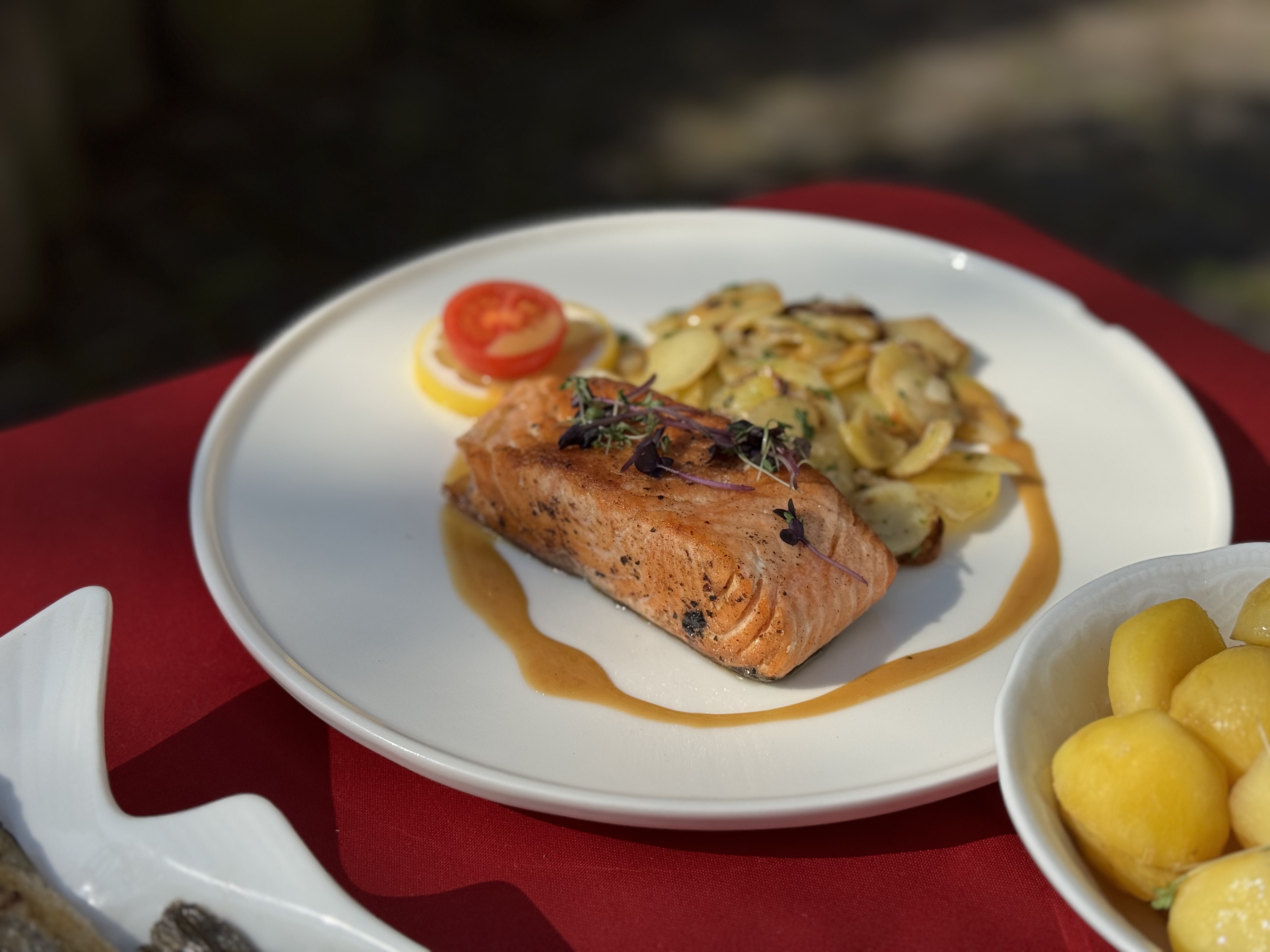 Salmon at Hessenkrug